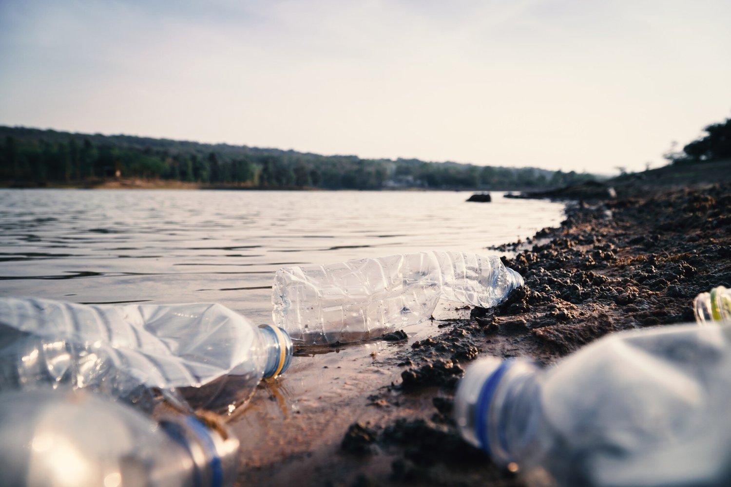 Penelitian Baru Ungkap Hubungan Mikroplastik dalam Darah dengan Serangan Jantung